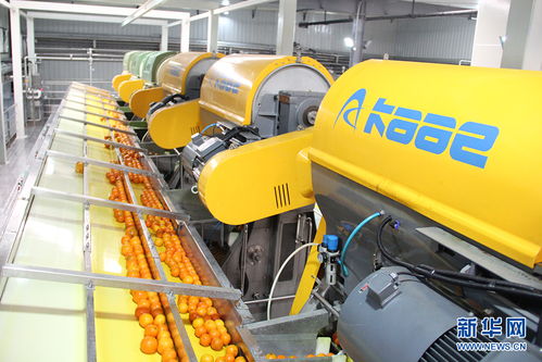 鄉(xiāng)味重慶老字號牛肉干的逆生長 電桿用滾焊機(jī)的新生